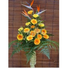 Congratulation Floral Stand of Gerberas and Bird of Paradise